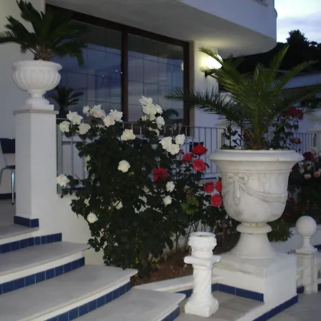 Orchidea 3*