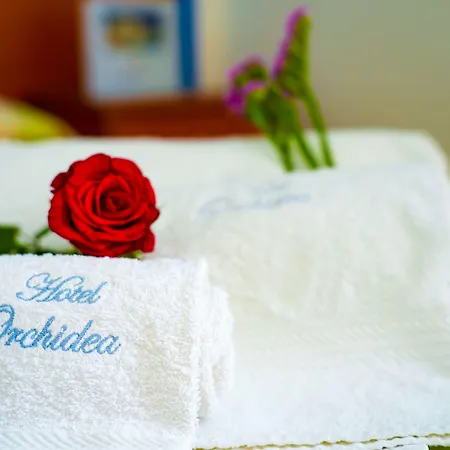 Hotel Orchidea