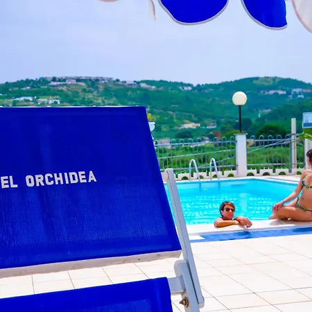 Orchidea ホテル 3*