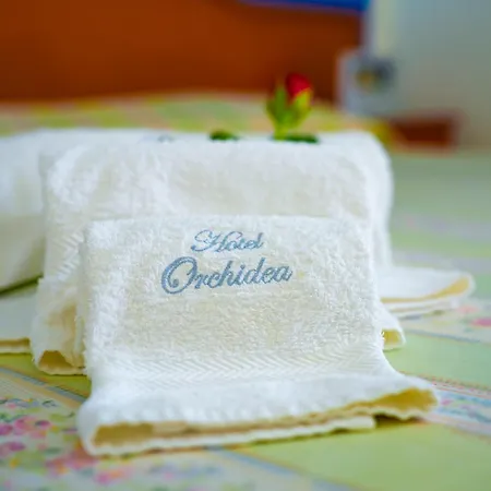 Orchidea ホテル ペスキチ