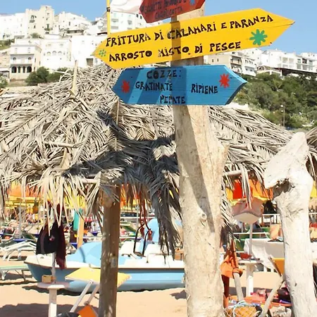 Orchidea فندق بيسْكيتْشّي