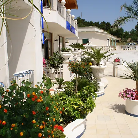 Orchidea 3* بيسْكيتْشّي