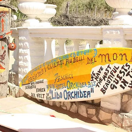 Orchidea 3* ペスキチ