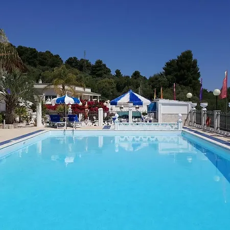 Orchidea بيسْكيتْشّي