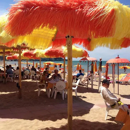 Orchidea بيسْكيتْشّي