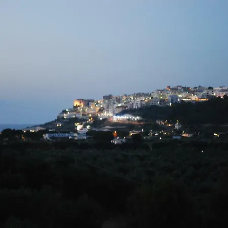 Hotel Orchidea 3*