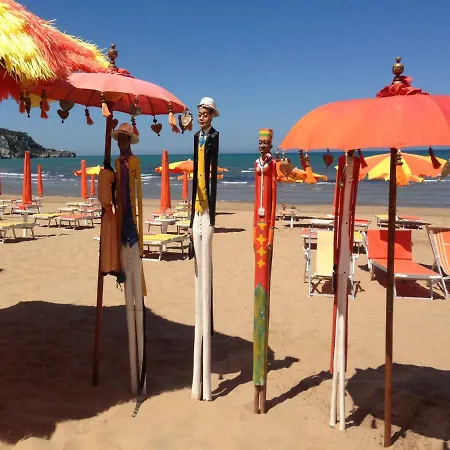 Orchidea بيسْكيتْشّي