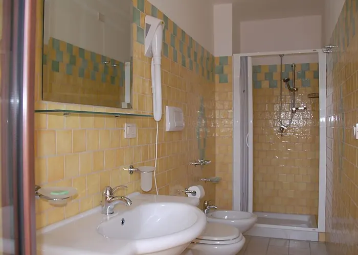 Orchidea ホテル 3*