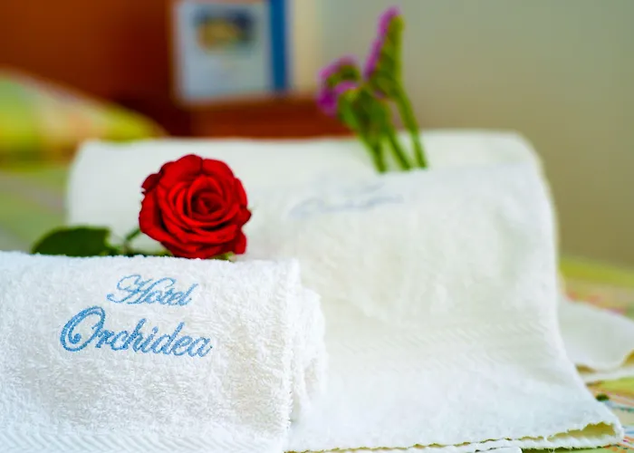 Hotel Orchidea
